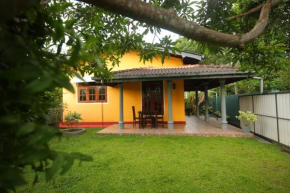 Telaas Home